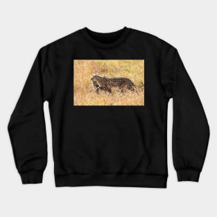 Serval Cat & Kitten, Serengeti, Tanzania Crewneck Sweatshirt